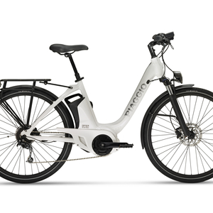 Piaggio we bike confort 1