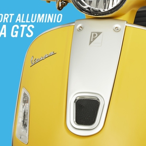 Vespa rizoma