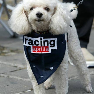 Jack ilcaneracing