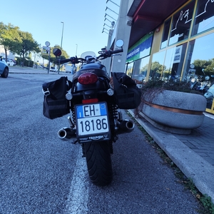 1790404929297